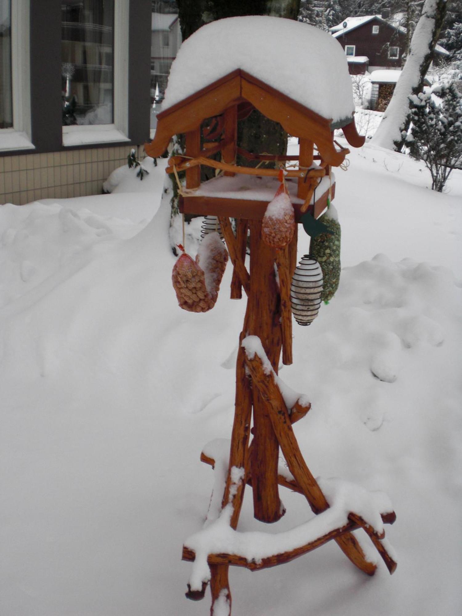 Landhaus Irmgard Braunlage Zewnętrze zdjęcie
